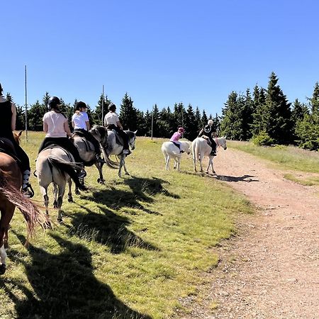 Rancho Panderoza Bed & Breakfast Duszniki Zdrój Dış mekan fotoğraf