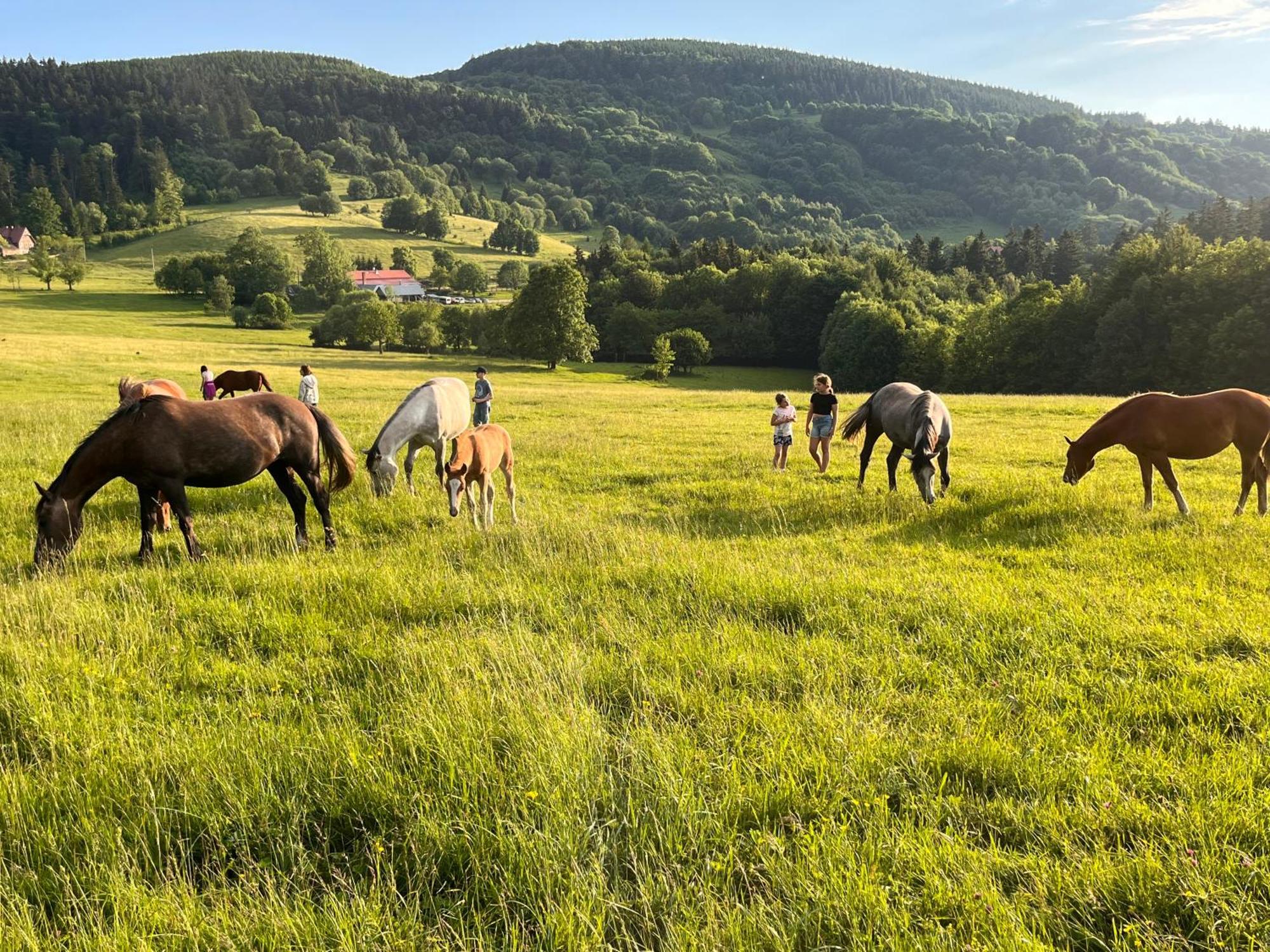 Rancho Panderoza Bed & Breakfast Duszniki Zdrój Dış mekan fotoğraf