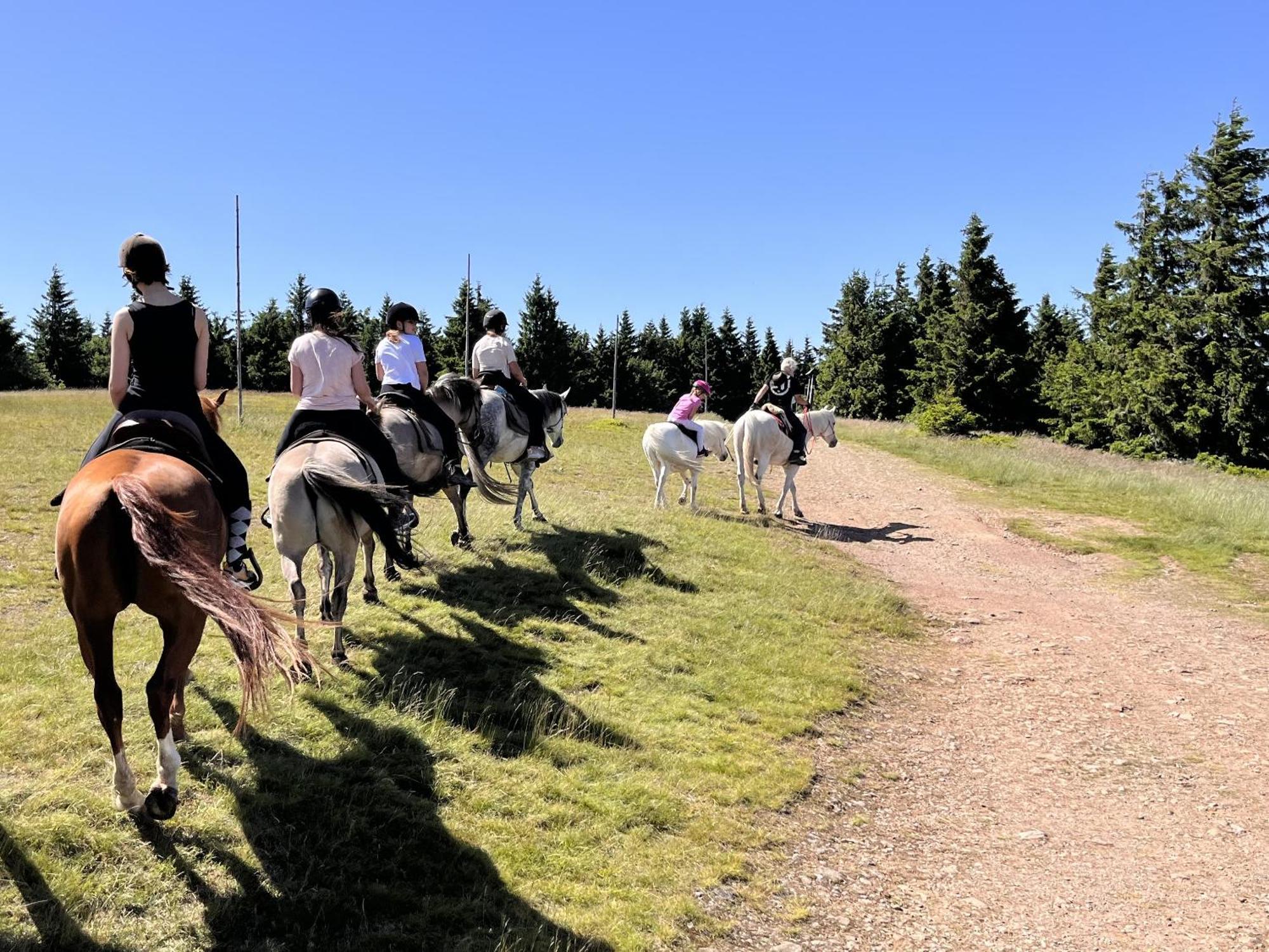Rancho Panderoza Bed & Breakfast Duszniki Zdrój Dış mekan fotoğraf